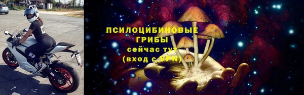 хмурый Россошь