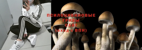 мяу мяу мука Армянск