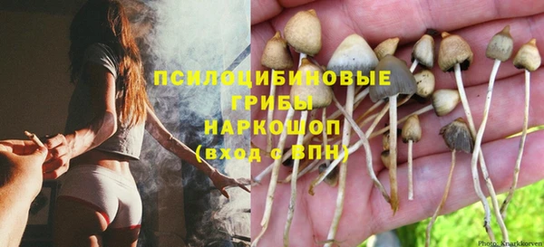прущая мука Аркадак