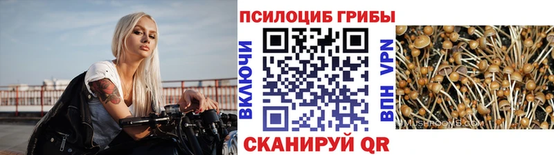 blacksprut зеркало  Собинка  Галлюциногенные грибы мухоморы  купить наркоту 